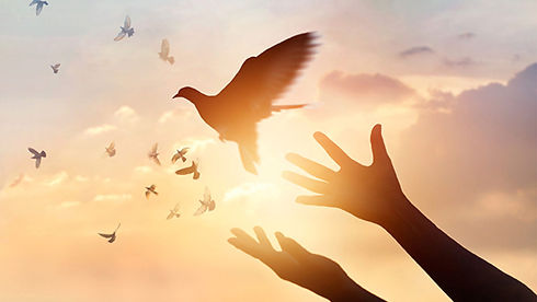 The-Art-of-Forgiveness-1280x720.jpg