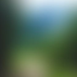 How to be an introvert without guilt