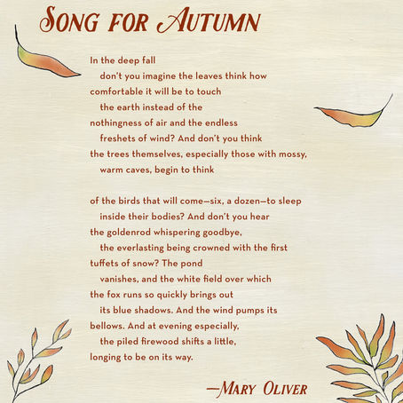 How To Wellness for Autumn