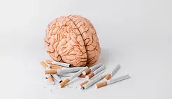 brains-cigarettes-on-white-background-600nw-1963801231.jpg.webp