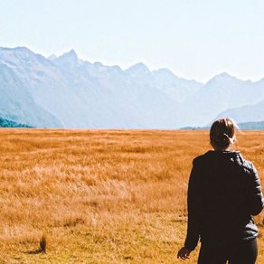 New Zealand: 8 Food Stops During Your Trip to New Zealand