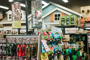 Pet store aisle with dog collars and pet supplies.