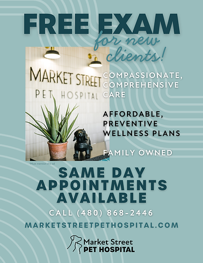 Free exam for new clients at Market Street Pet Hospital.