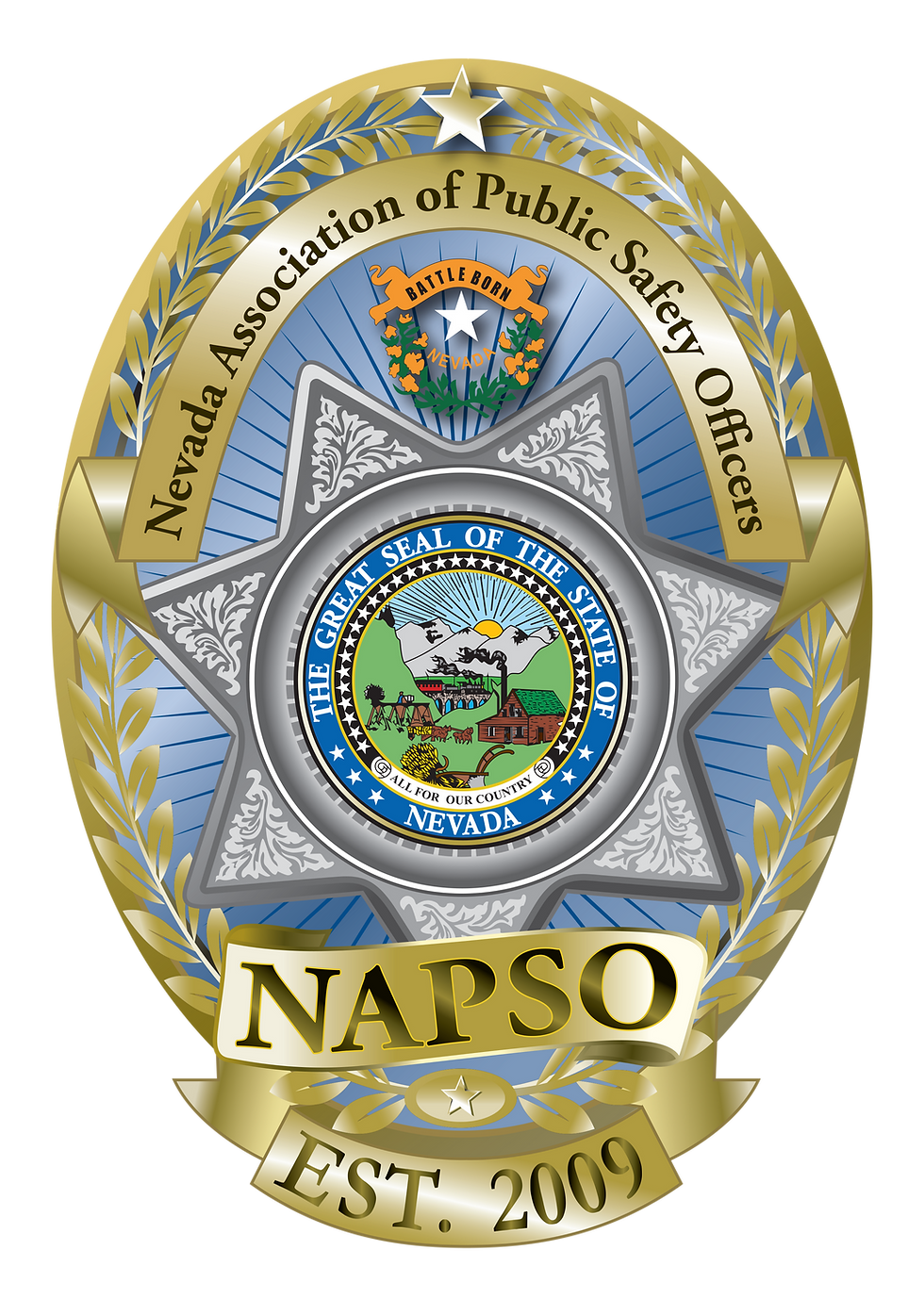 Logo - NAPSO.Est 2009.png