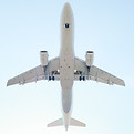 Avion