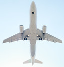 飛行機