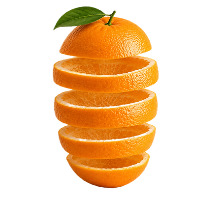 1EDB1927-F259-4F25-ADDF-E64B4E858855_edited.png