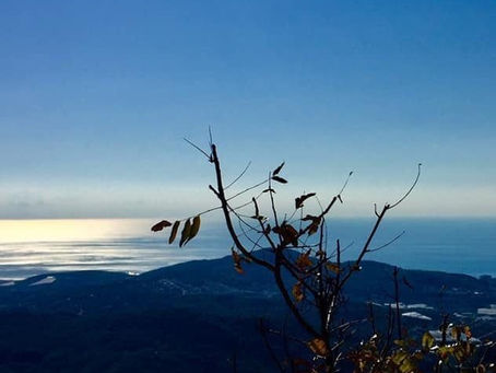 Alanya Deniz Manzaralı Satılık Müstakil Arsa | 2 Tapulu | Taş Evli | Yatırımlık