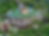 Screenshot 2025-04-25 at 5.50.25 PM.png