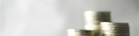 Spousal Support - Coins