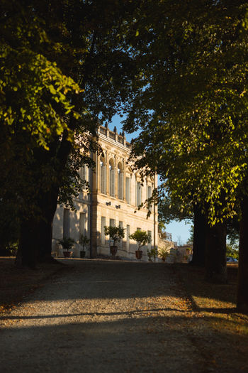 Vendanges DDD 22-370.jpg