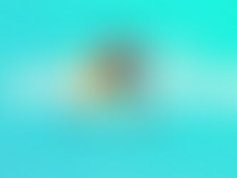 Summer with Redeemer