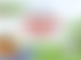 Welcome (back) picnic and games