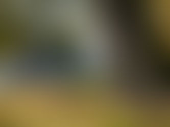 November reflection from Babak