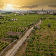 Estrada de campo na paisagem