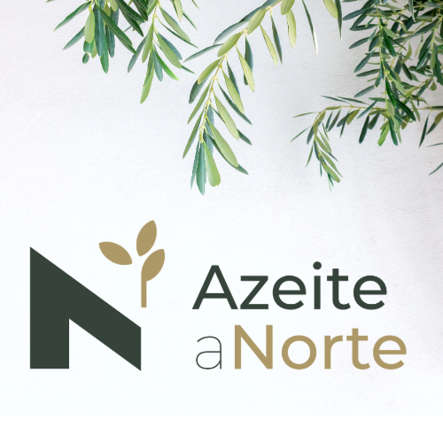 Azeite a Norte