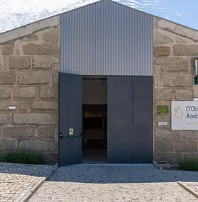 Visita por Alijó