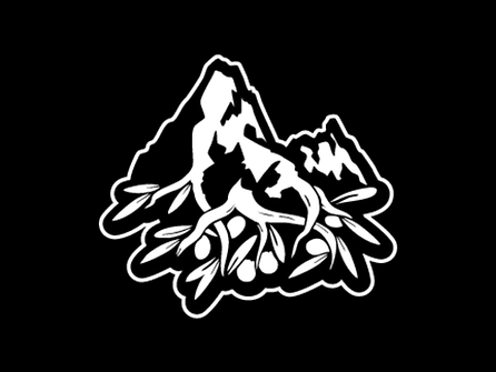 Transmontania Tours Logo