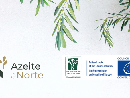 Azeite a Norte + TROTOT