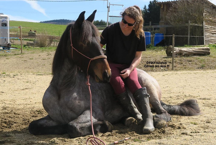 IMG-20240314-WA0262 (2).jpg