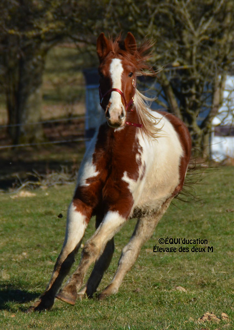 52914563_1121251221390959_17194048159534