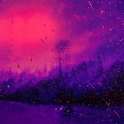 Purple park_edited.jpg
