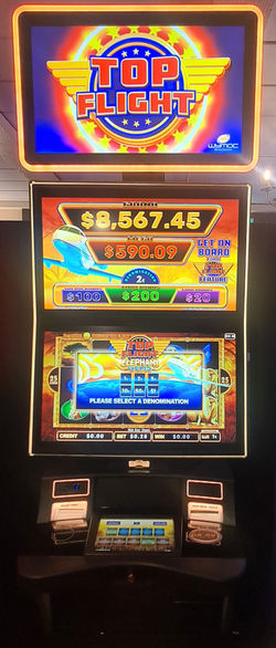 Wymac GTU Top Flight Elephant