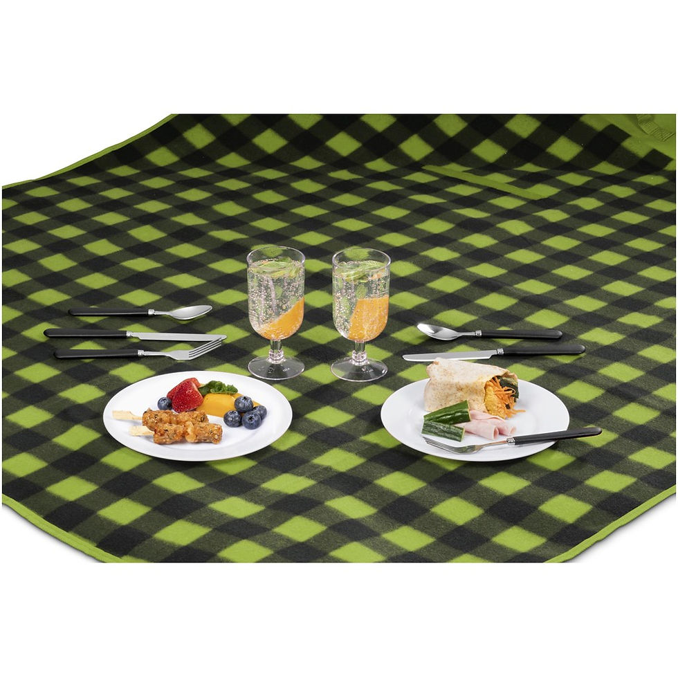 Thumbnail: Altitude Everglades Picnic Blanket