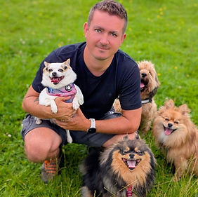 Happy dogs enjoying their walk with Pick Up The Paws in Morecambe
