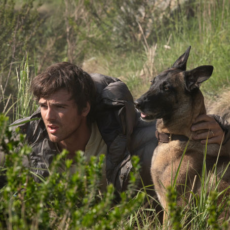 The Dog Stars : Vlog d'Août survivaliste au cœur de l'humanité