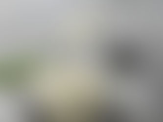 Joghurt und das Darmmikrobiom: Auswirkungen auf die mikrobielle Zusammensetzung