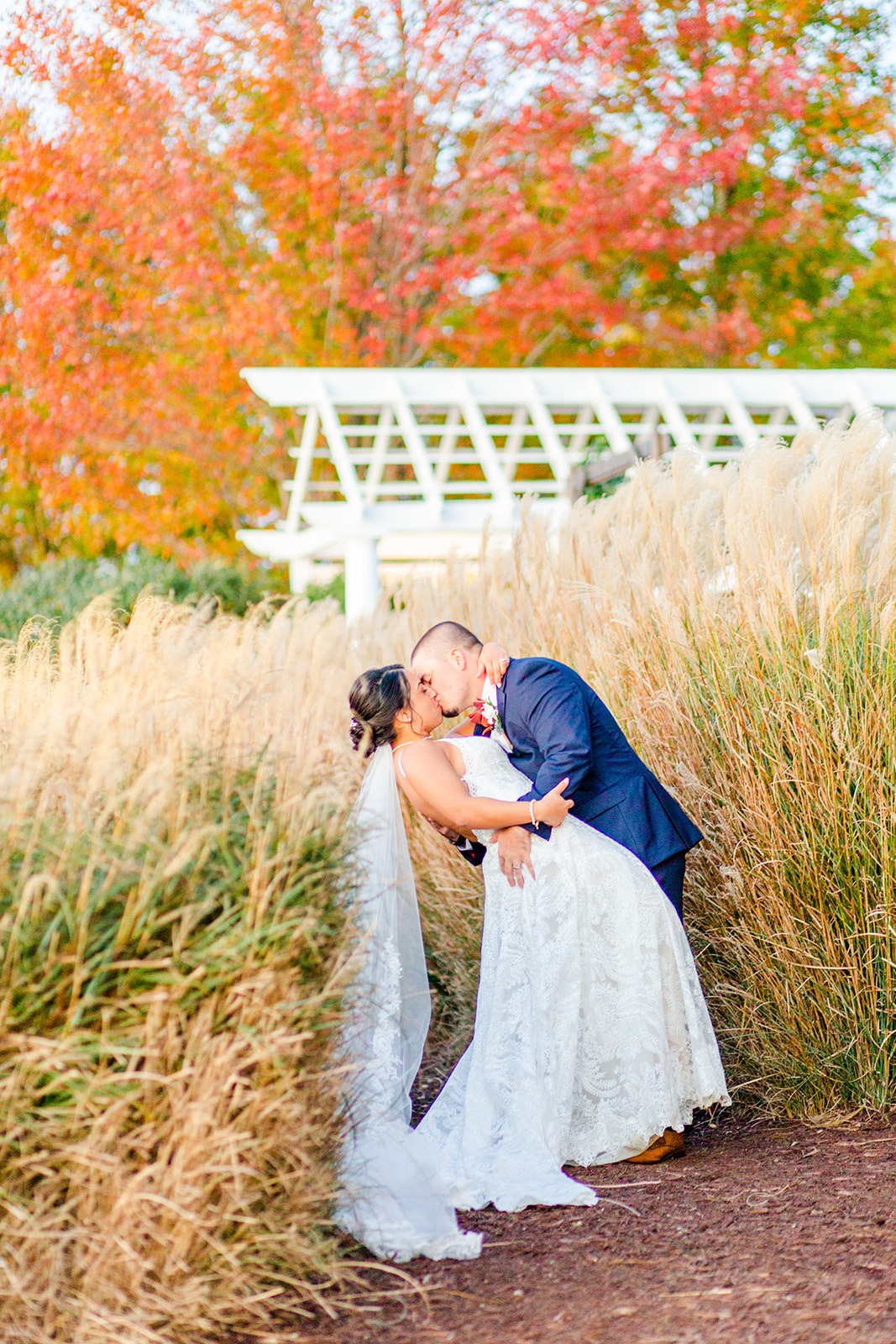 bride and groom kiss while surrounded by cattails on path