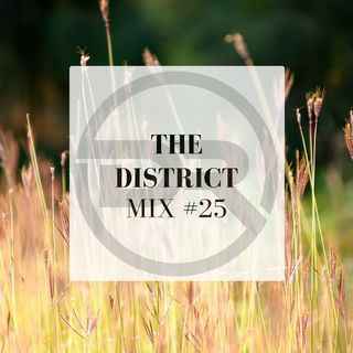 District Mix #25