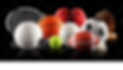 logo.png