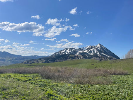 Zion