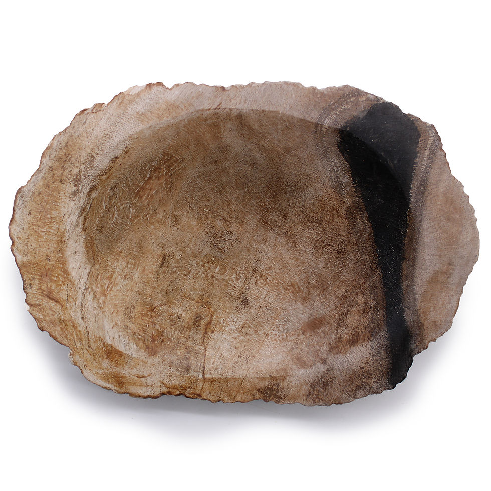 Top view of a handcrafted petrified wood soap dish with a polished surface and natural edges.