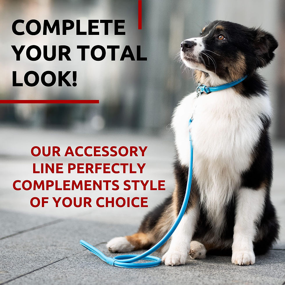 Thumbnail: Blue Rolled Leather Dog Leash 6Ft x 0.5 in for Small Medium and Large Dogs