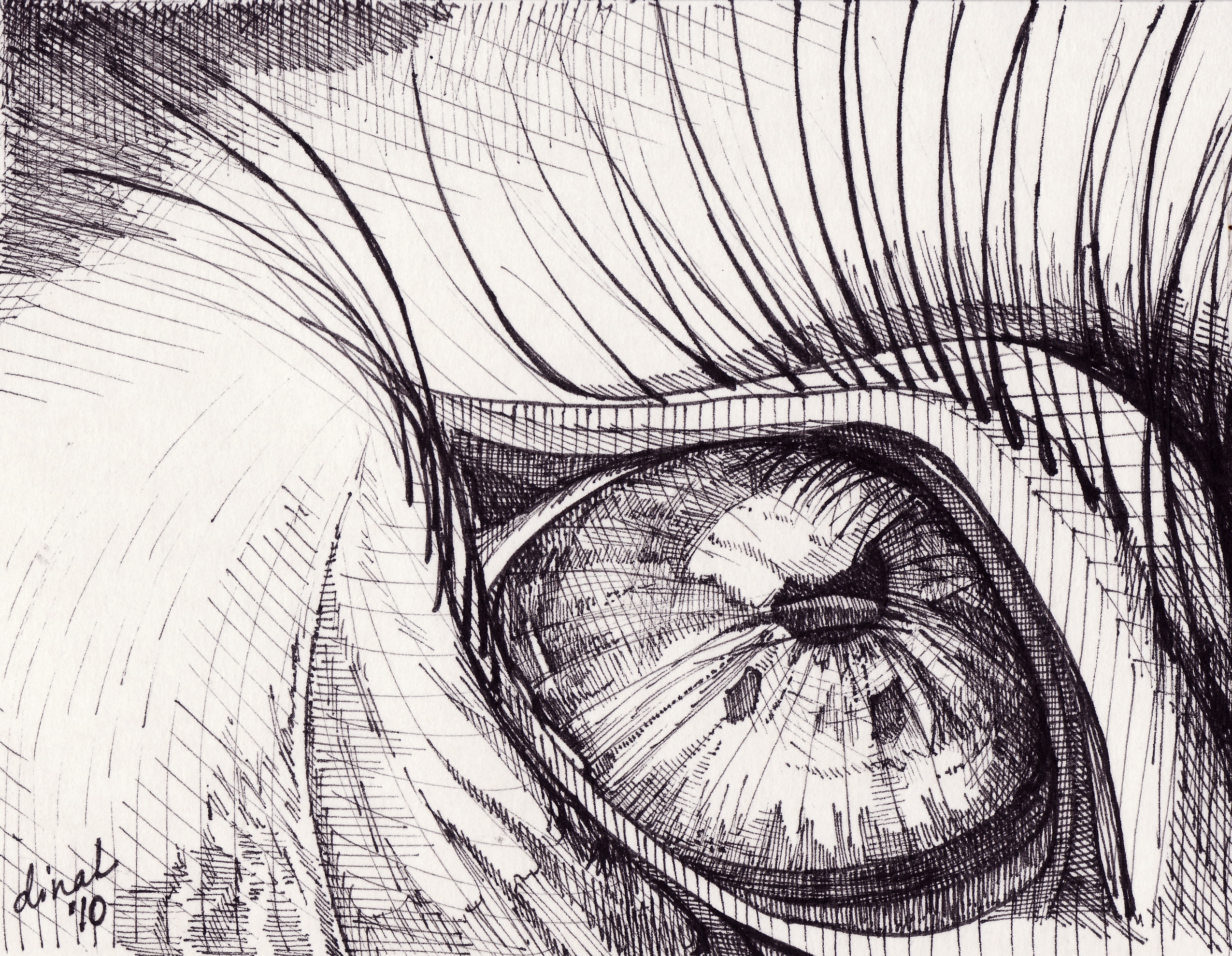 The Eye