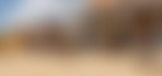 Carhartts and Cocktails 2021