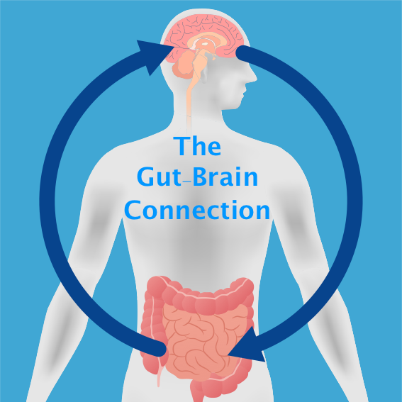 Your brain sends information to your gut & your gut sends information to your brain - constantly