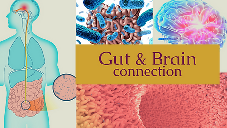 Intriguing_Facts_About_the_Gut_and_Brain