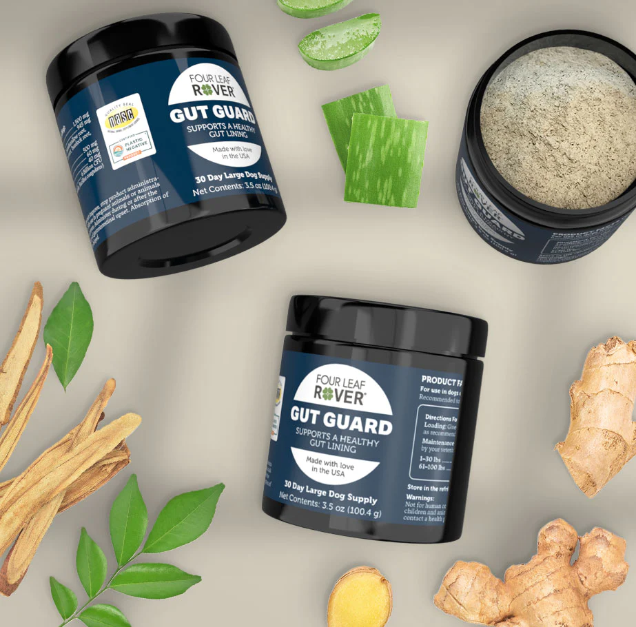 How to Make Your Cat Less Allergenic AND Less Allergic Too