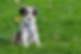 Icons (22).png