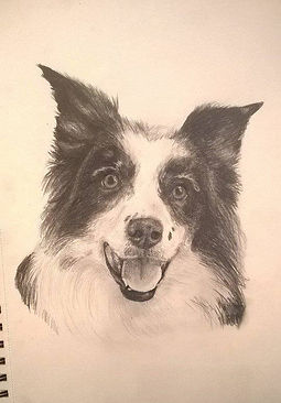 Canine Dog Illustration