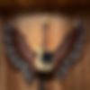 strat wings.JPG