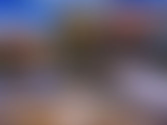 Journal de 20 h TF1 entreprise Artisan CIRET