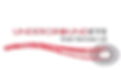 Underground Eye Drains Services Limited | Drains Services Cork | Lissardagh County Cork Ireland