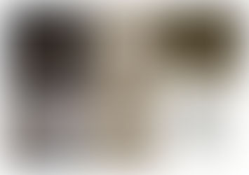 JORDVENDT en utstilling med Toril Rygh, Eva Bakkeslett, Anna Widén & Gry Hege Johansen