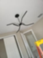 Modern black spider-style ceiling light fixture