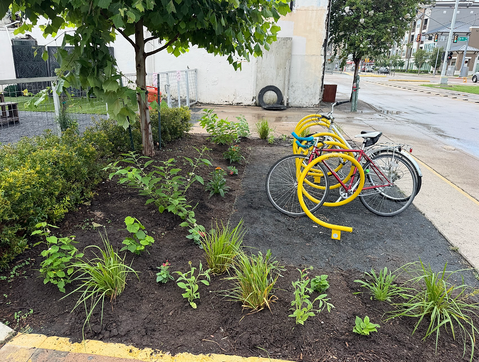 Native Plants and Community